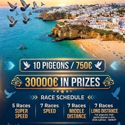 Whatsapp Image 2026 04 06 At 00.31.53