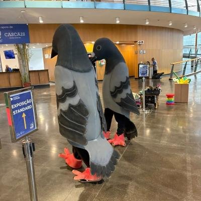 Whatsapp Image 2026 04 06 At 00.45.51 3