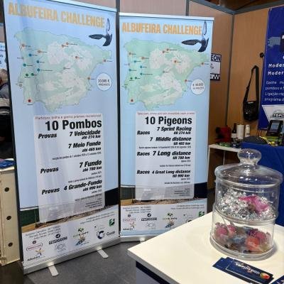 Whatsapp Image 2026 04 06 At 00.45.52